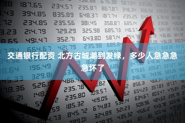 交通银行配资 北方古城潮到发绿，多少人急急急急坏了
