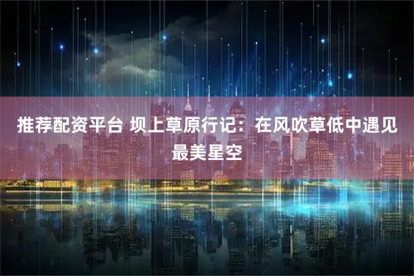 推荐配资平台 坝上草原行记：在风吹草低中遇见最美星空