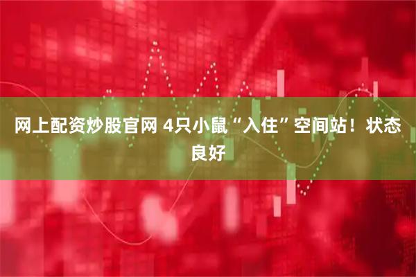 网上配资炒股官网 4只小鼠“入住”空间站！状态良好