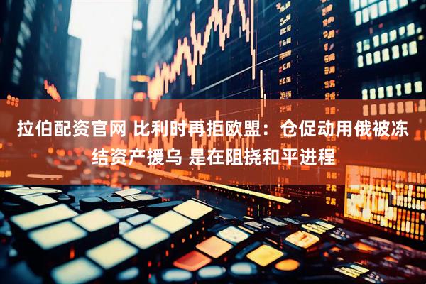 拉伯配资官网 比利时再拒欧盟：仓促动用俄被冻结资产援乌 是在阻挠和平进程