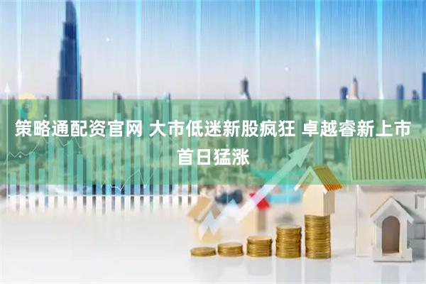 策略通配资官网 大市低迷新股疯狂 卓越睿新上市首日猛涨