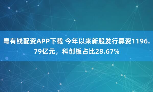 粤有钱配资APP下载 今年以来新股发行募资1196.79亿元，科创板占比28.67%