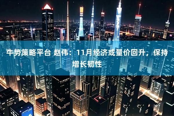牛势策略平台 赵伟：11月经济或量价回升，保持增长韧性