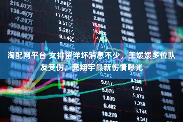 淘配网平台 女排留洋坏消息不少，王媛媛多位队友受伤，龚翔宇最新伤情曝光